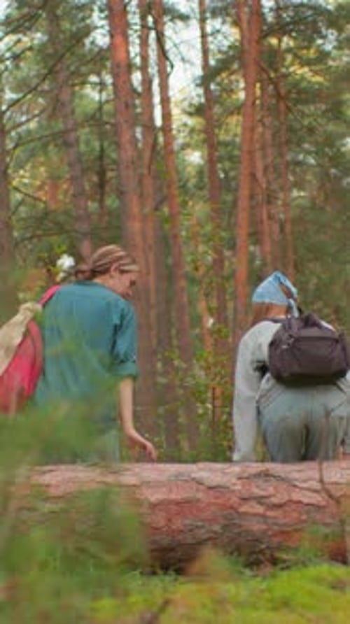 Hikers Resting on Fallen Tree in Serene Forest