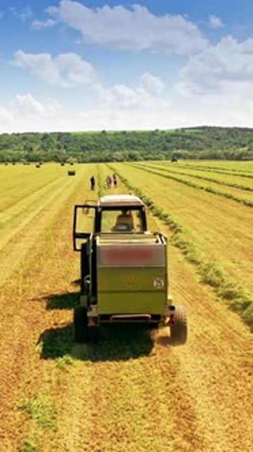 Agricultural machinery pressing grass in the field in summer. Tractor collects the green grass