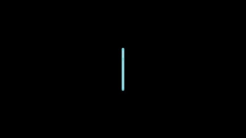 Minimalist Calculator Icon Reveal Animation