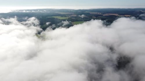 Mist fog clouds from above aerial view over seasonal autumn forest low morning sunlight