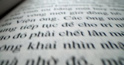 Close Up of Text in a Book