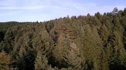 Tierras altas del lago Karagol 07