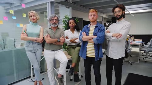 Diverse Business People Office Workers Team Standing Looking at Camera Crossing Arms Serious Face