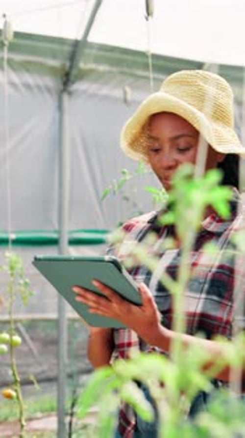 Black woman, tablet and greenhouse with inspection on farm, quality assurance