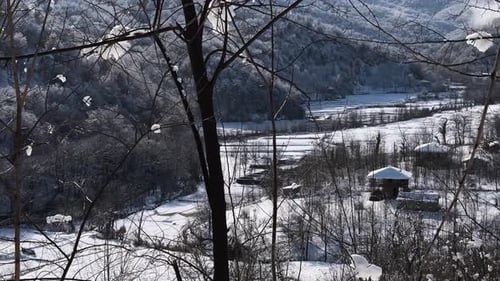 Rice paddy under heavy snowfall in winter season Hyrcanian landscape Iran forest nature farm village