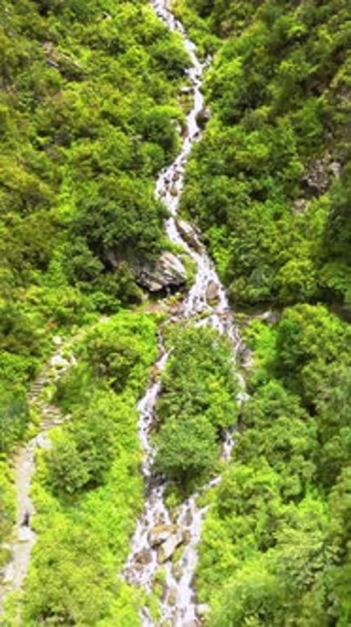 Vertical Drone Shot of Stream in Green Valley – Yulla Trek, Himachal