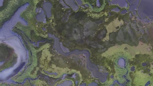 Aerial view of marshland and pools, United States.