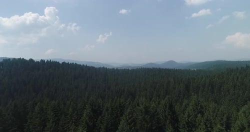Aerial Cinematic Clip Drone Flying Over a Beautiful Summer Landscape of Endless Meadows and Hills