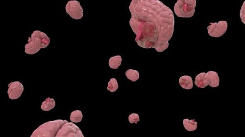 Flying Human Brain 3D Medical Animation