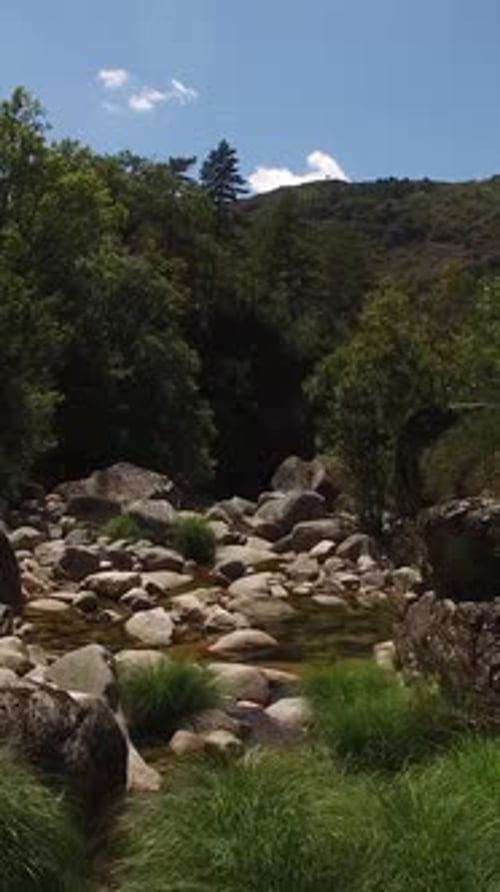 Vertical Video River with Rocks