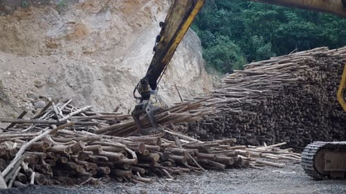 A Hydraulic Crane Arm Grabbing a Group of Tree Trunks for Storage in Vietnam