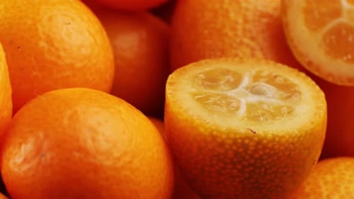 Ripe Kumquats with Vibrant Green Leaves Receiving Fresh Water Droplets Showcasing Natural Citrus