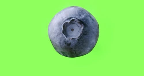 A blueberry rotating clockwise in the air before a green background. shot with greenscreen backgroun