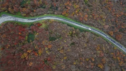Curved Road Through Autumn Forest