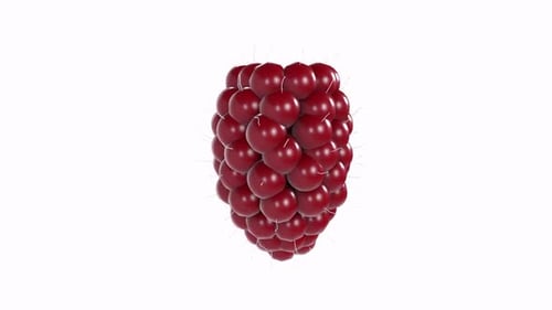 Animated 3D Raspberry Rotation on White Background