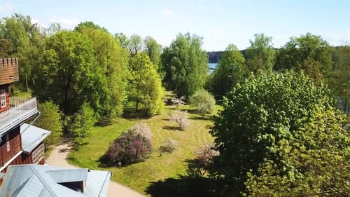 Blooming Apple Orchard In A Country Estate 04