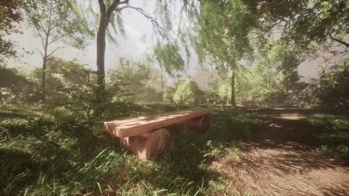 Wooden Seat Placed Between Lush Grass in Park on Sunny Day