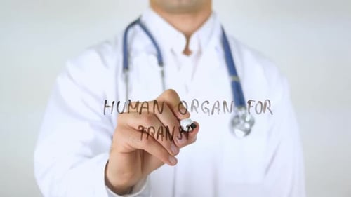 Menschliches Organ für Transplantationsärzte, Schrift auf Glas