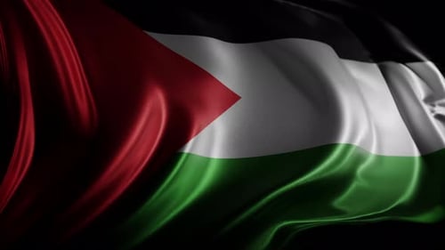 Waving Flag of Palestine Loop Background Animation