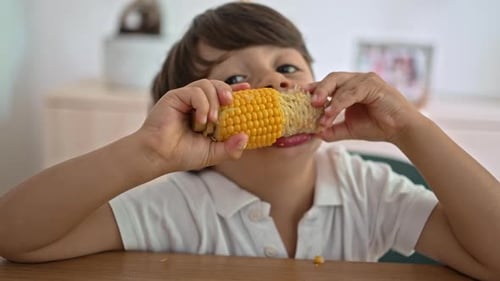 Enthusiastic Boy Eating Sweet Corn Cob Indoors