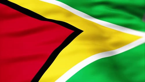 Guyana Flag Waving Seamless Loop Animation