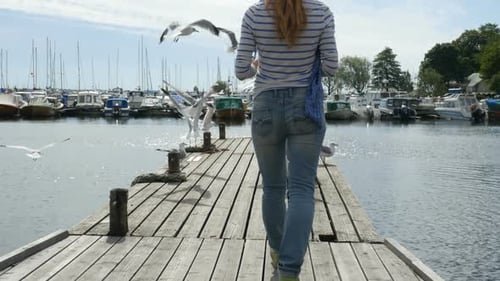 Woman Walks Pier Amongst Gulls at a Marina