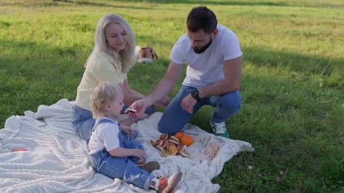 Father Feeds Son at Family Picnic in the Park