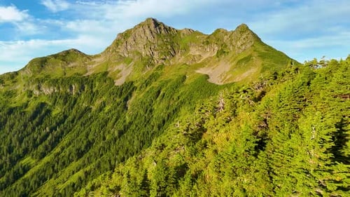 Aerial view of mountain peaks and forests, United States.