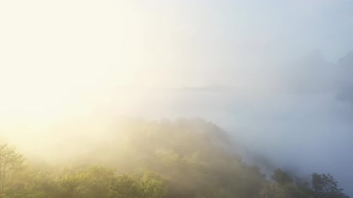 Luftbild der tropischen Berg- und Regenwaldlandschaft im Morgennebel