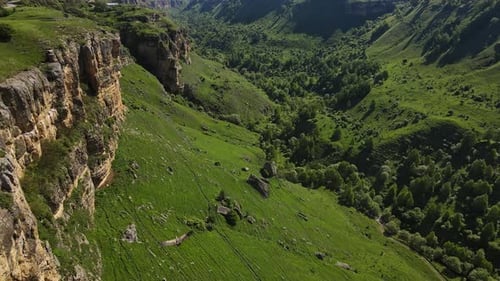 AERIAL A Vulture Gyps Flies Over a Beautiful Green Gorge in the Mountains