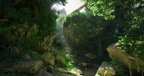 Lush Green Valley Illuminated By Sunlight Cascading Through Foliage