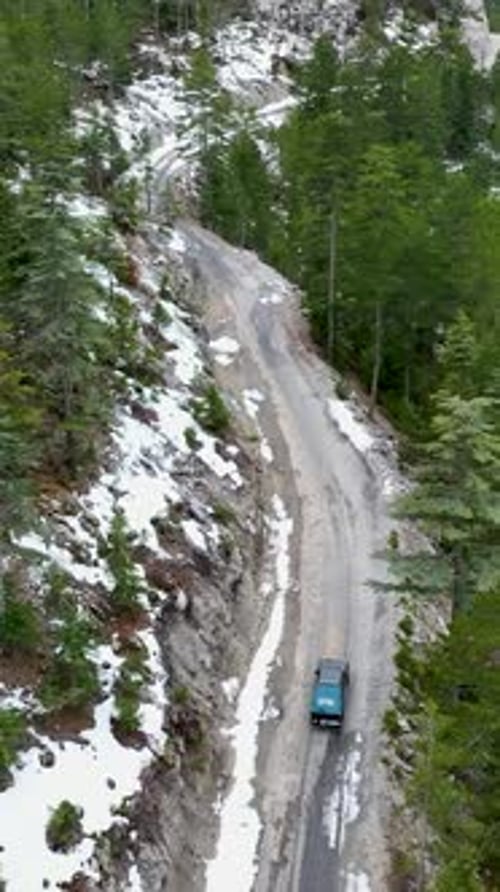 Vertical Video Aerial Wonder Winter Pickup Truck Journey Through Green Forest on Snowy Road