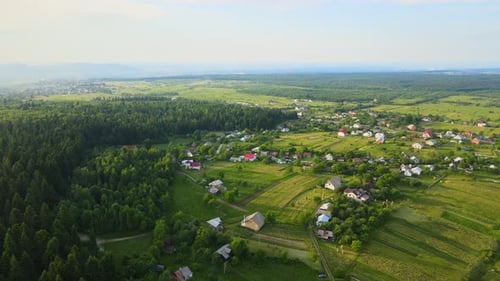 Aerial View of Green Cultivated Agricultural Fields with Growing Crops and Rural Village Houses