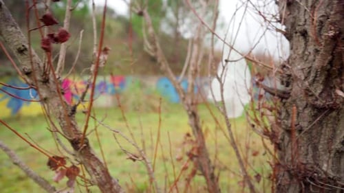 Bolsa de plástico desechada en el bosque, atrapada en un árbol, contaminación y basura en la naturaleza, arte callejero y