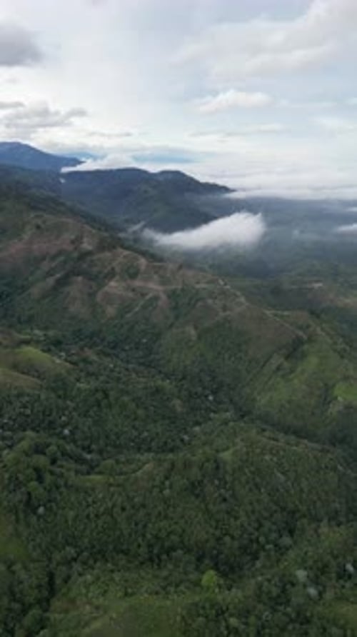 Aerial video over Salento towards a lush forested valley in the mountains of Colombia, Colombia