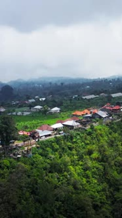 Houses Bordering Lush Green Tropical Forest in Bali Indonesia