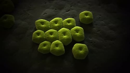 Green cells multiplying on a dark textured surface in motion