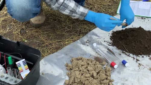 Person Testing Soil Sample in Rural Setting