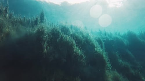 Unterwasserblick auf den Karstsee mit kristallklarem blauem Wasser und einem Wildsee namens Goluboye