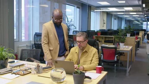 Two Male Managers Looking at Laptop Screen Having Discussion