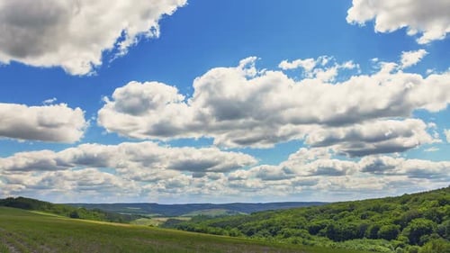 Time Lapse Clouds Over the Green Field and Forest