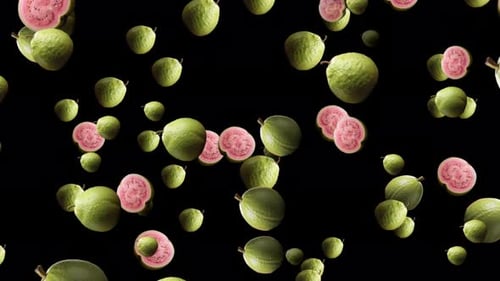 Lots Of Fresh Healthy Guava Fruit Falling On Black Background. Health Benefits Fresh Guava Fruit Fal