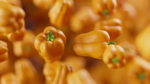 Animation of a group of bell pepper. Defocus. Close-up.