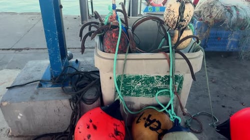 Bóias coloridas, fixadas na doca costeira e embelezadas com marcações, personificam a essência vibrante