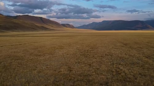 Aerial View of a Desert Arid Valley with Dried Grass