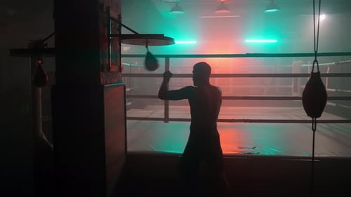 Boxer Training with Speed Bag in Neon Gym