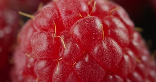 Macro chupito de frambuesas, fruta que se utiliza a menudo para mermeladas, jarabes y jaleas. Las frambuesas contienen un l