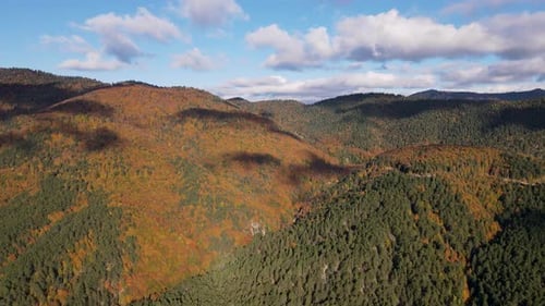 Autumn Forests And Cloudy Blue Sky
