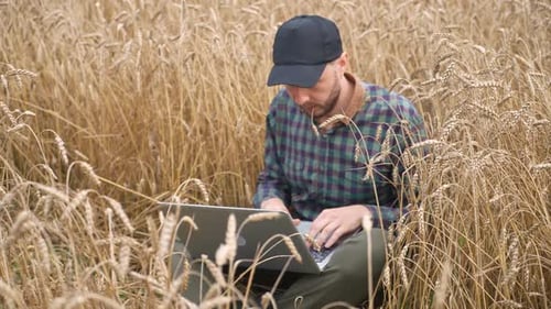 Ecologist Sits in a Field and Works at a Laptop Remote Work and Selfisolation in Nature Texting Text