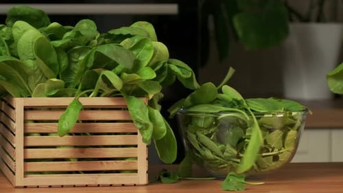 Spinach leaves. The cook cutting green spinach leaves and pours chopped spinach to the glass bowl